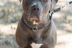 Maximus Foto 3