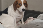 Molly Foto 1