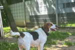 Molly Foto 2
