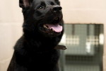 Oskar Foto 5