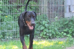 Ragnar Foto 1