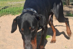 Ragnar Foto 2