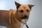 Rollo Foto 2