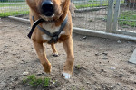 Rollo Foto 5
