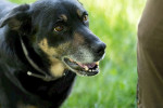 Shila Foto 3