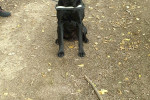 Spike Foto 3