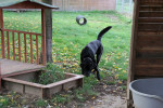 Spike Foto 4