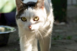 Elsa Foto 1